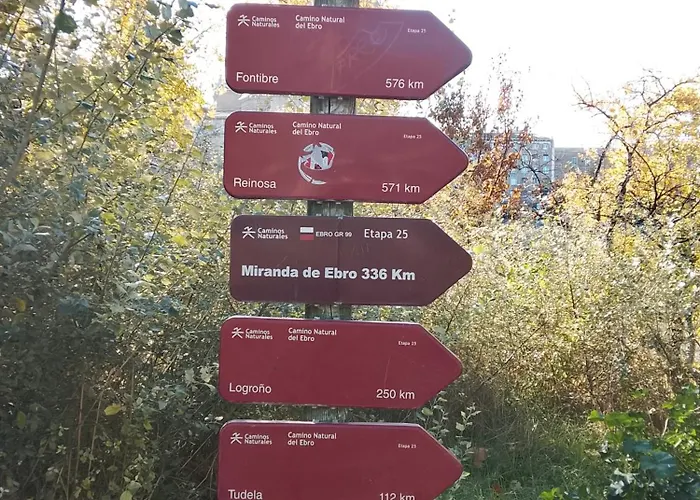 La Terraza Del Pilar * Saragozza